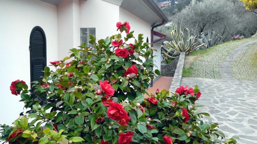 Villa Il Pettirosso La Spezia Ruang foto